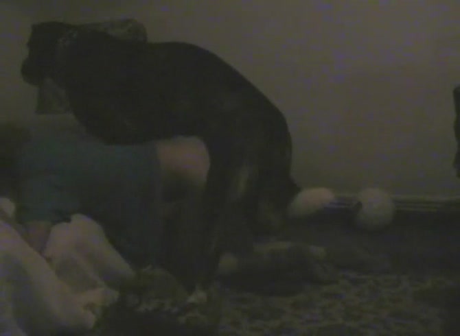Video :Black dog xxx smashing and destroying a woman's pussy